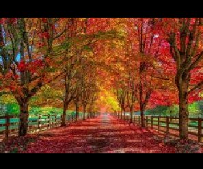 GEO��ʦ��¼��������ȫ�棩